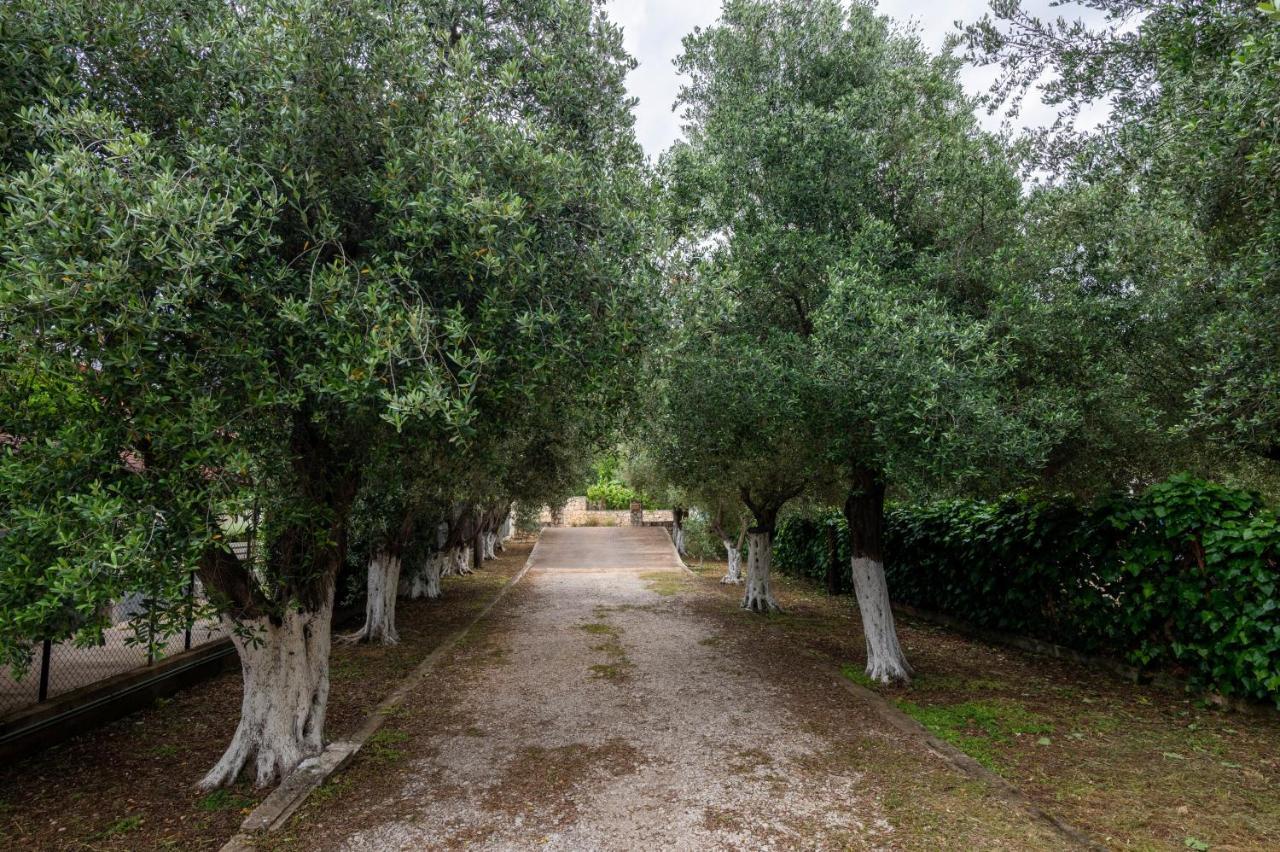 Studio De Bosset Argostoli  Zewnętrze zdjęcie